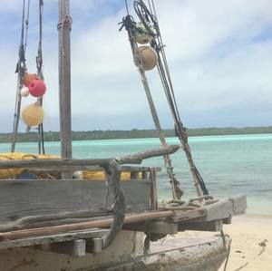 Meet your Posher, Katrina